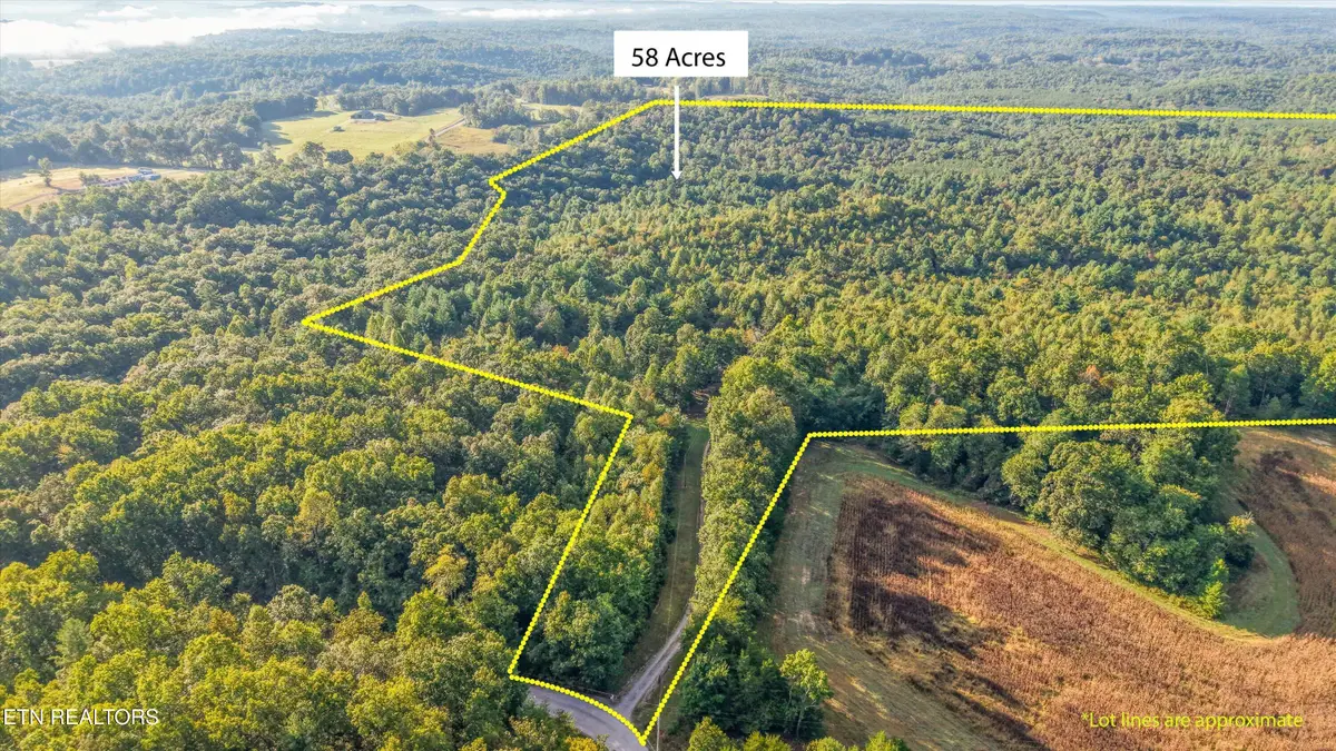 Address Withheld By Seller, Sunbright, TN 37872 - #1