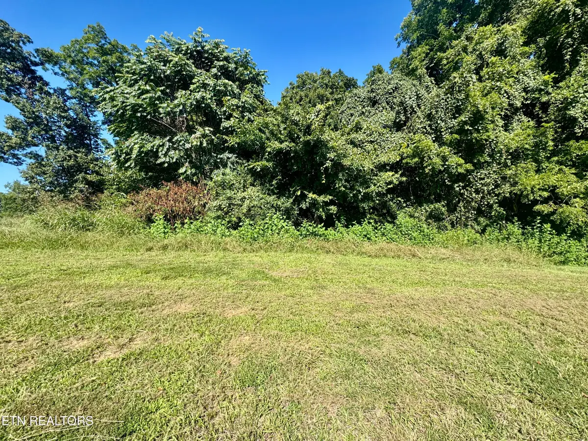 Lot 16 Bridgewater Blvd, Morristown, TN 37814 - #1