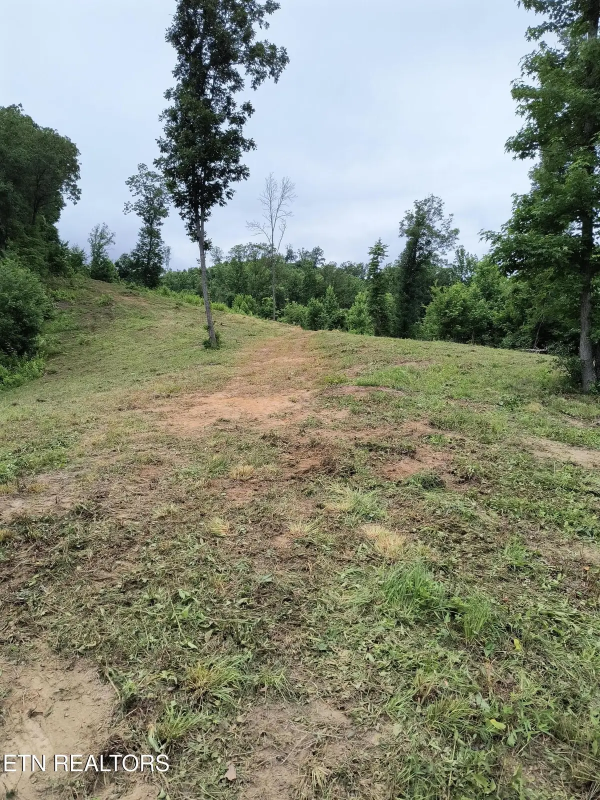 488 Ashe Cabin Hollow Rd, Harriman, TN 37748 - #1