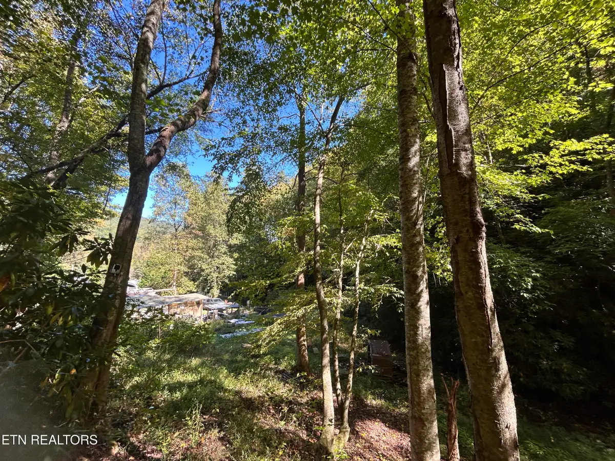 433 Steve Brown Rd, Bean Station, TN 37708 - #1