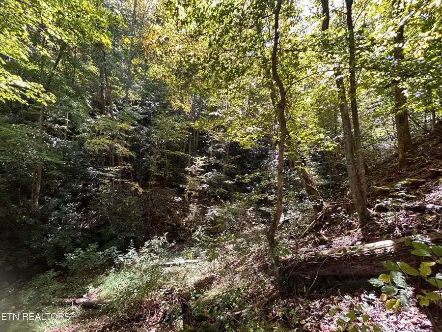 433 Steve Brown Rd, Bean Station, TN 37708 - #2