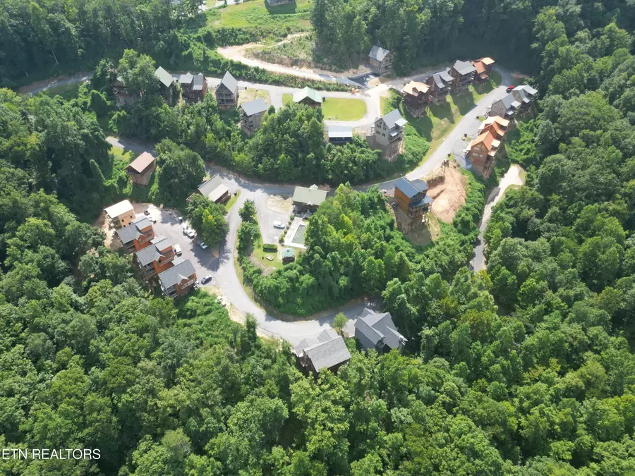Pine Peak Way, Pigeon Forge, TN 37862 - #2