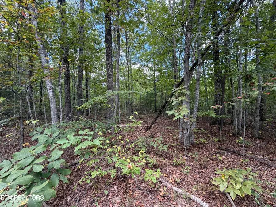8.06 Ac Horse Creek Rd, Jamestown, TN 38556 - #3