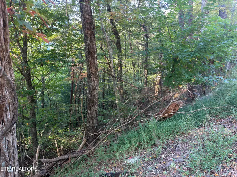 Overholt Tr, Sevierville, TN 37862 - #2