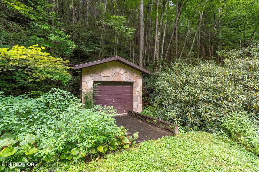 514 Butler Branch Road Rd, Gatlinburg, TN 37738 - #2