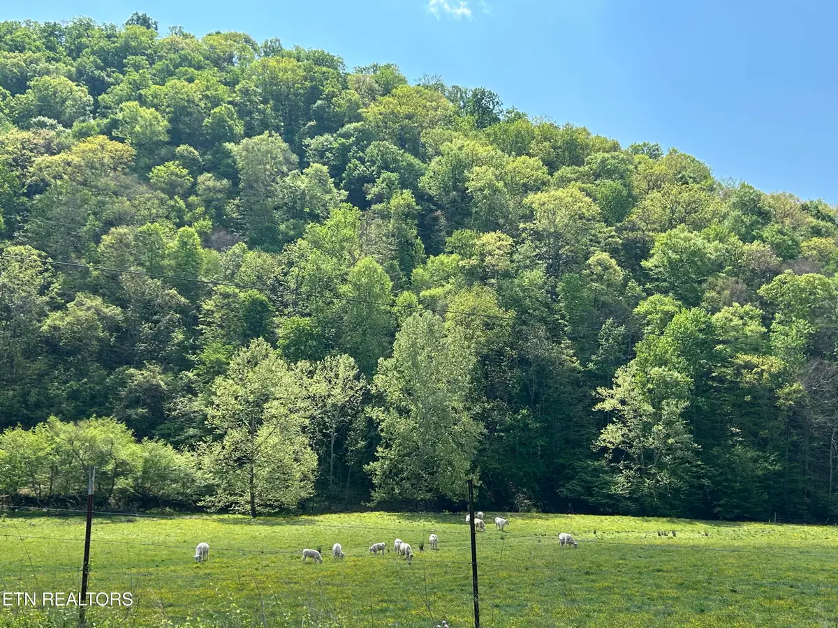 Trent Valley Rd Rd, Sneedville, TN 37869 - #1