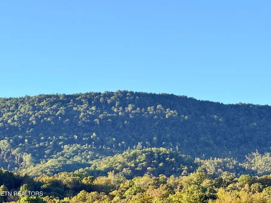 130 Jared Lane, Cumberland Gap, TN 37724 - #3
