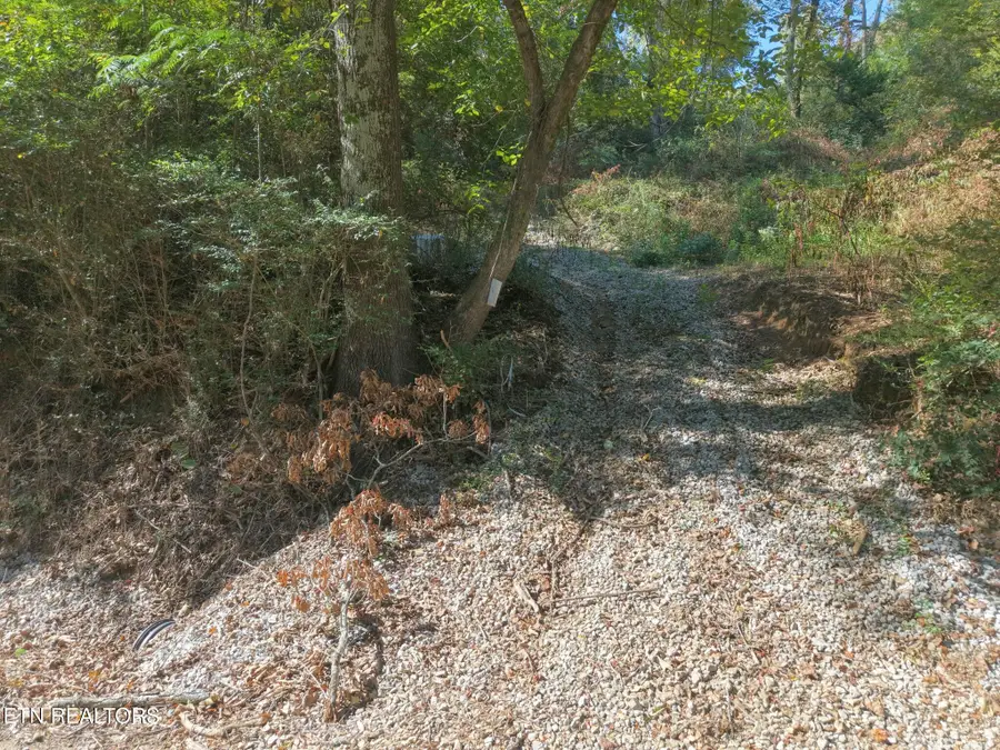 181 Whitehall Rd, Chattanooga, TN 37405 - #3