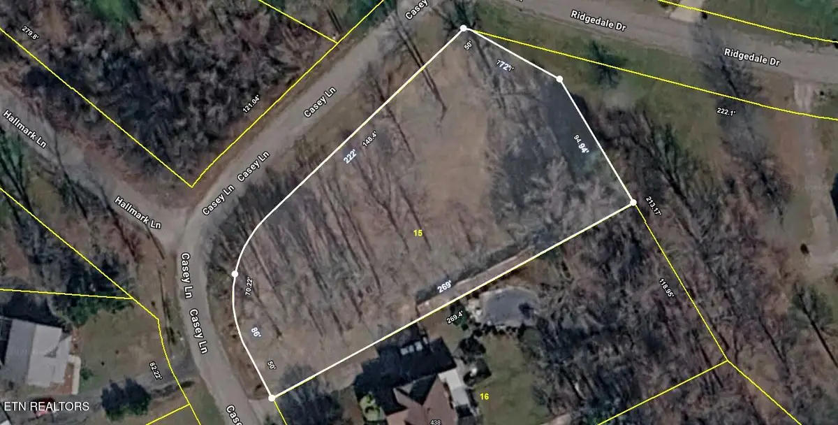 438 Casey Lane, Strawberry Plains, TN 37871 - #1