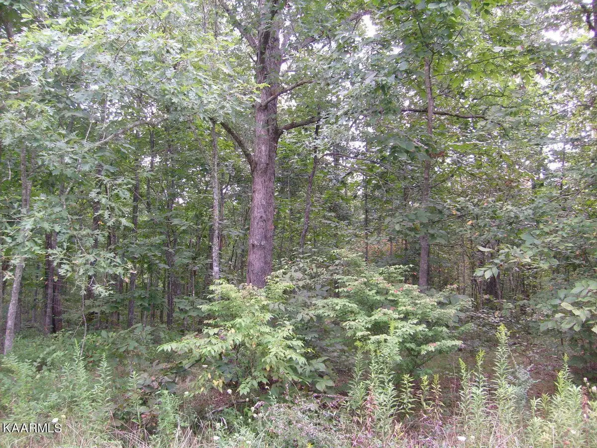 2023 Coweta Drive, Crossville, TN 38572 - #1