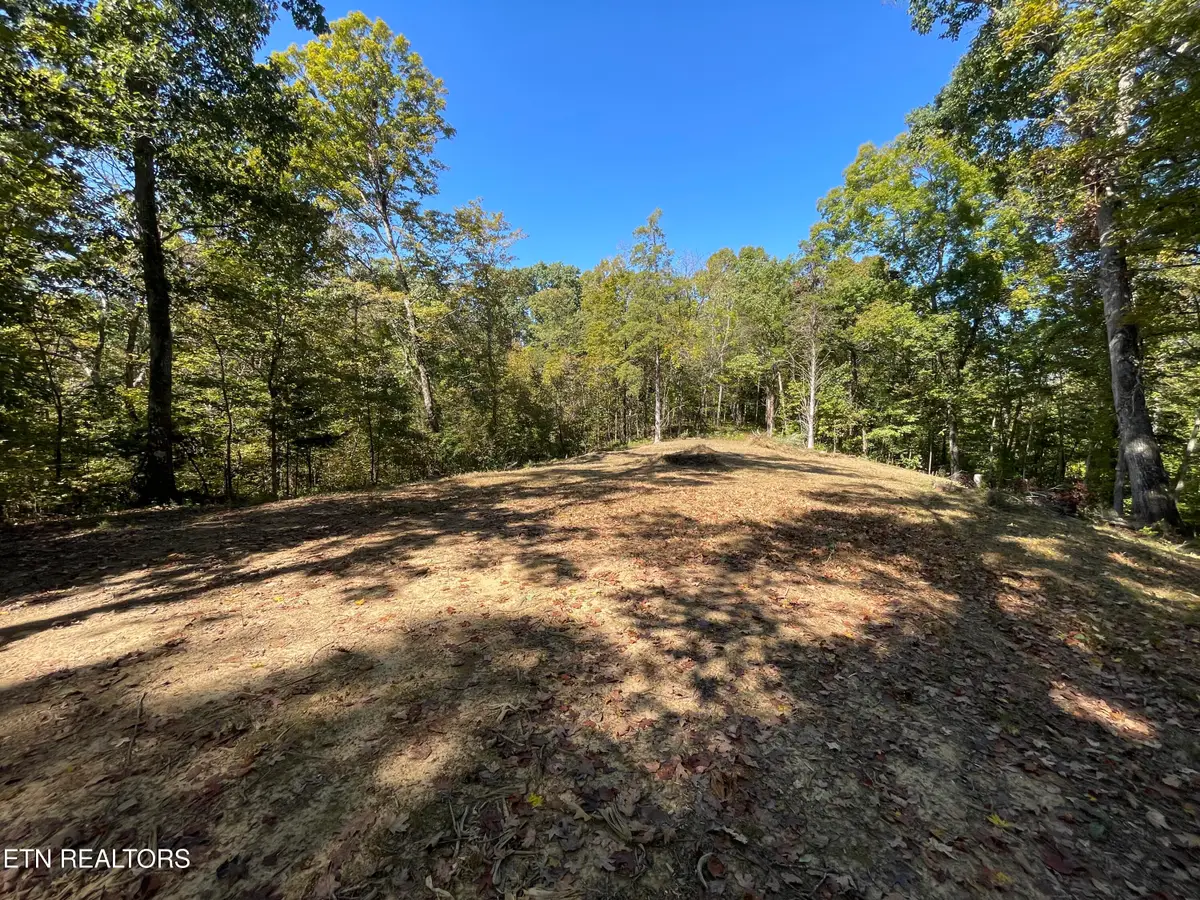 Address Withheld By Seller, Madisonville, TN 37354 - #1