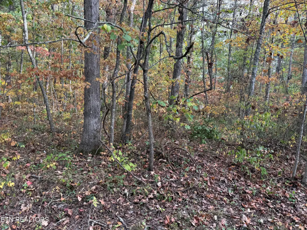 Copley Cemetery Rd, Jamestown, TN 38556 - #1