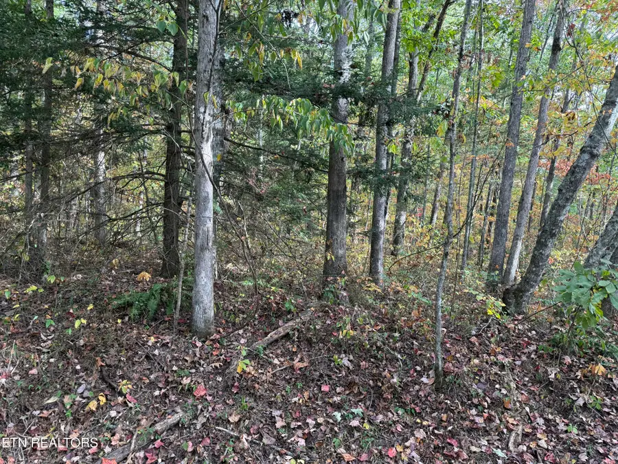 Copley Cemetery Rd, Jamestown, TN 38556 - #2