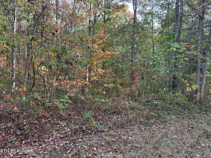 Copley Cemetery Rd, Jamestown, TN 38556 - #3