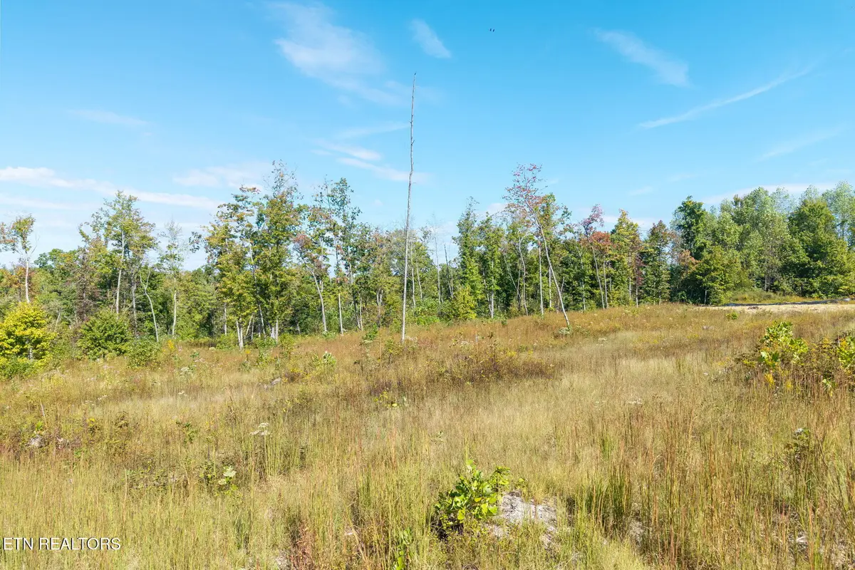 Flat Rock Rd, Jamestown, TN 38556 - #1