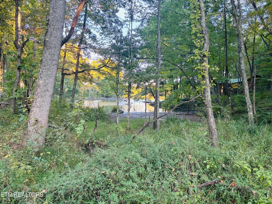 41 Diane Circle, Crossville, TN 38572 - #3
