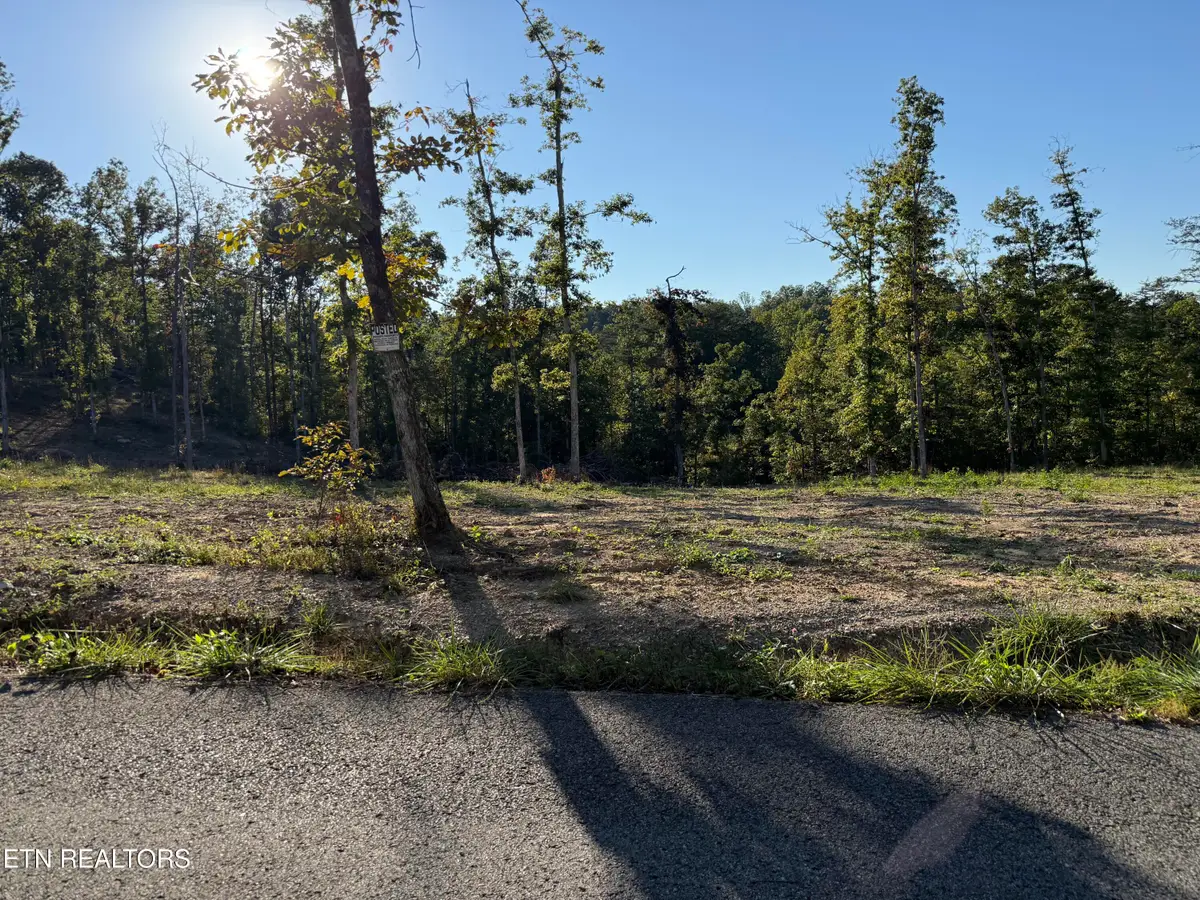 1274 Vine Ridge Rd, Wilder, TN 38589 - #1