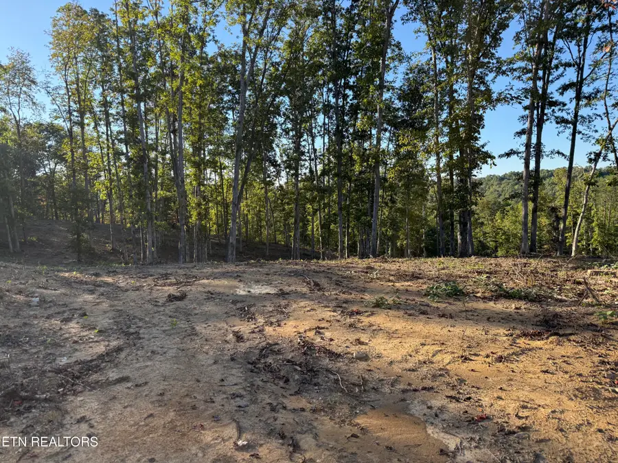 1282 Vine Ridge Rd, Wilder, TN 38589 - #2