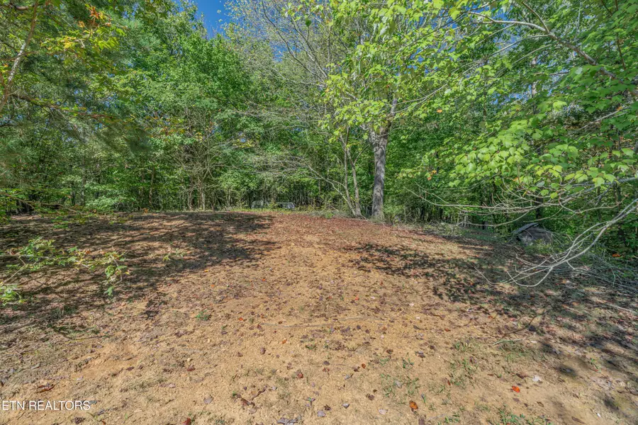 147 Old Jones Rd, Harriman, TN 37748 - #3