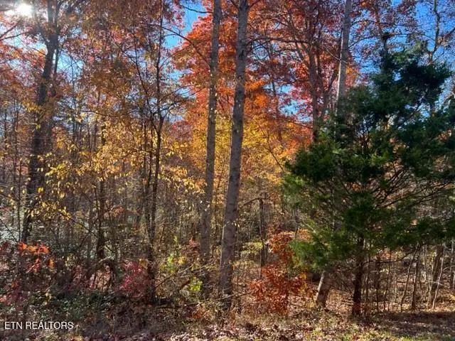 Lot 9 T Place, Monterey, TN 38574 - #2