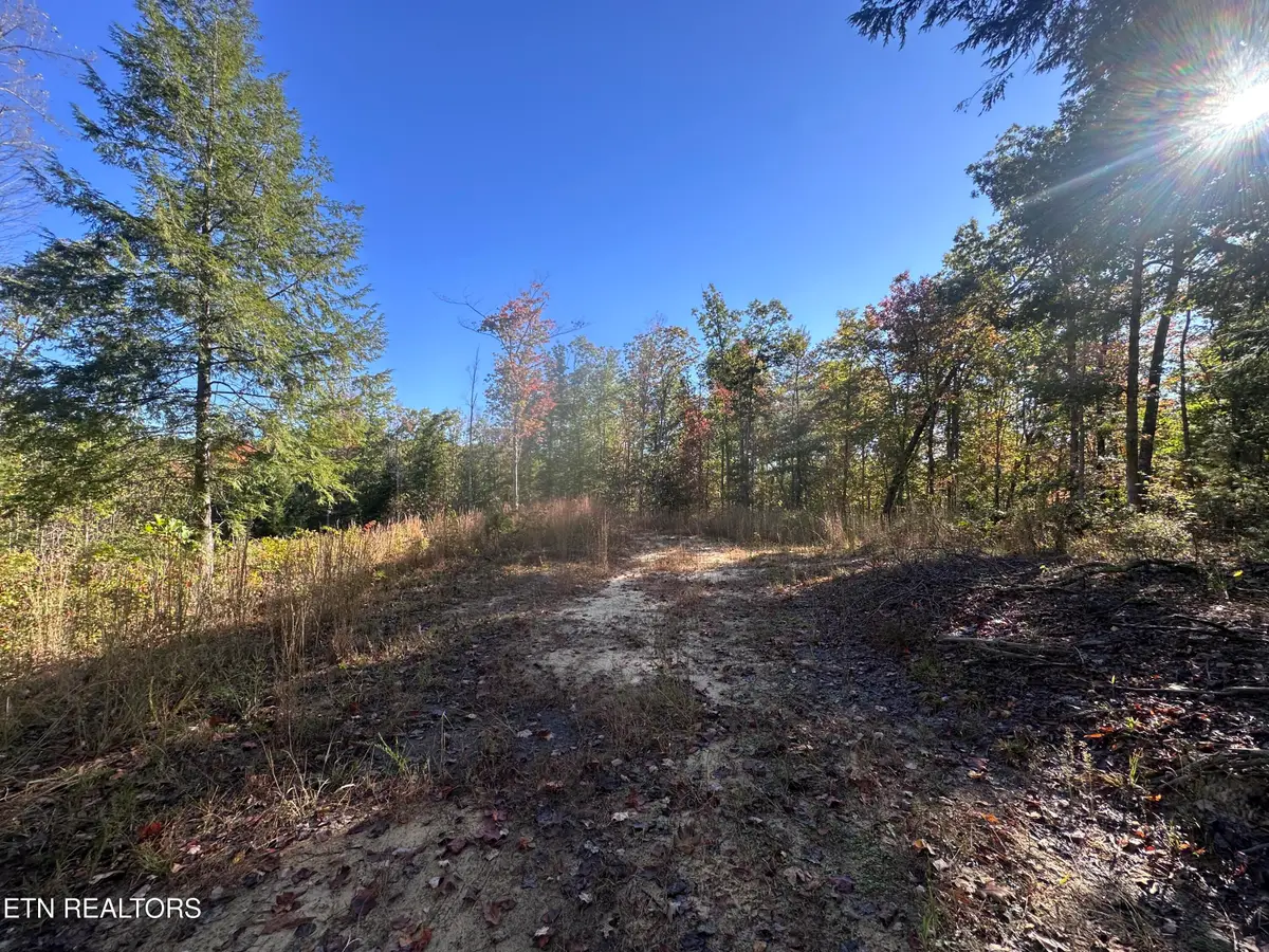 137 Laurel Rd, Jamestown, TN 38556 - #1