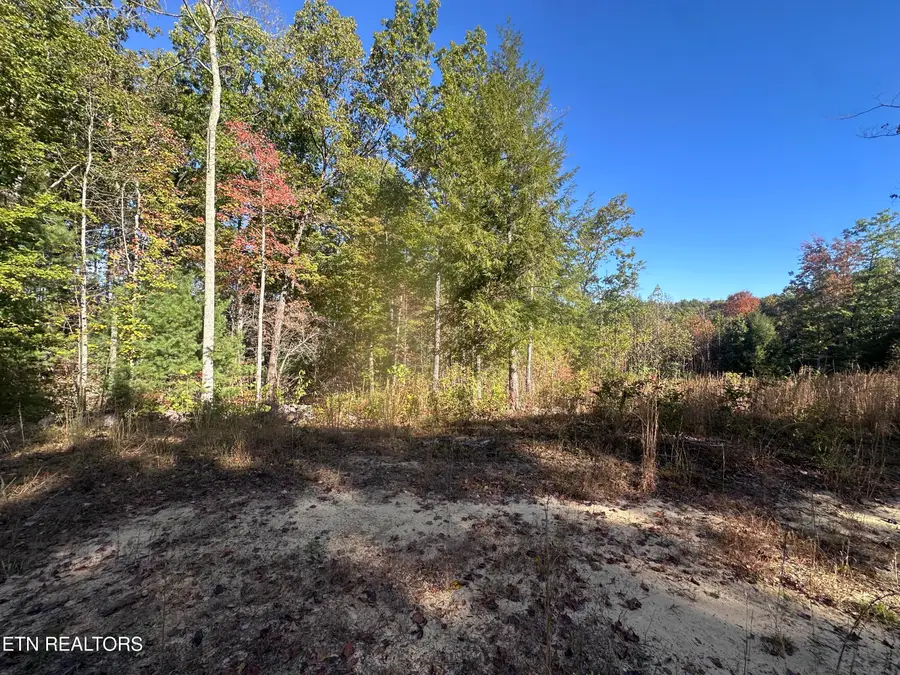137 Laurel Rd, Jamestown, TN 38556 - #2