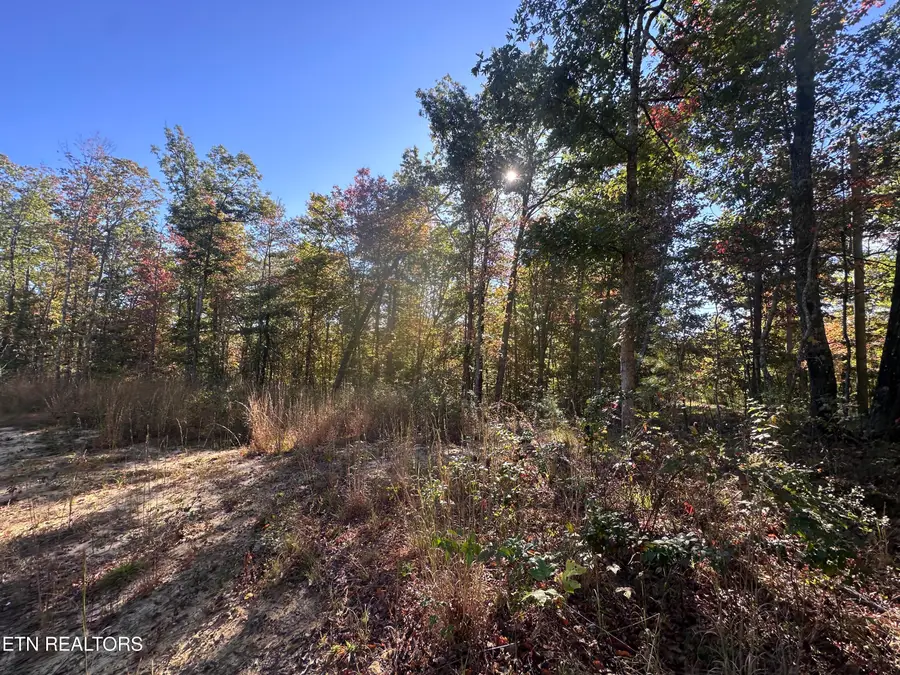 137 Laurel Rd, Jamestown, TN 38556 - #3
