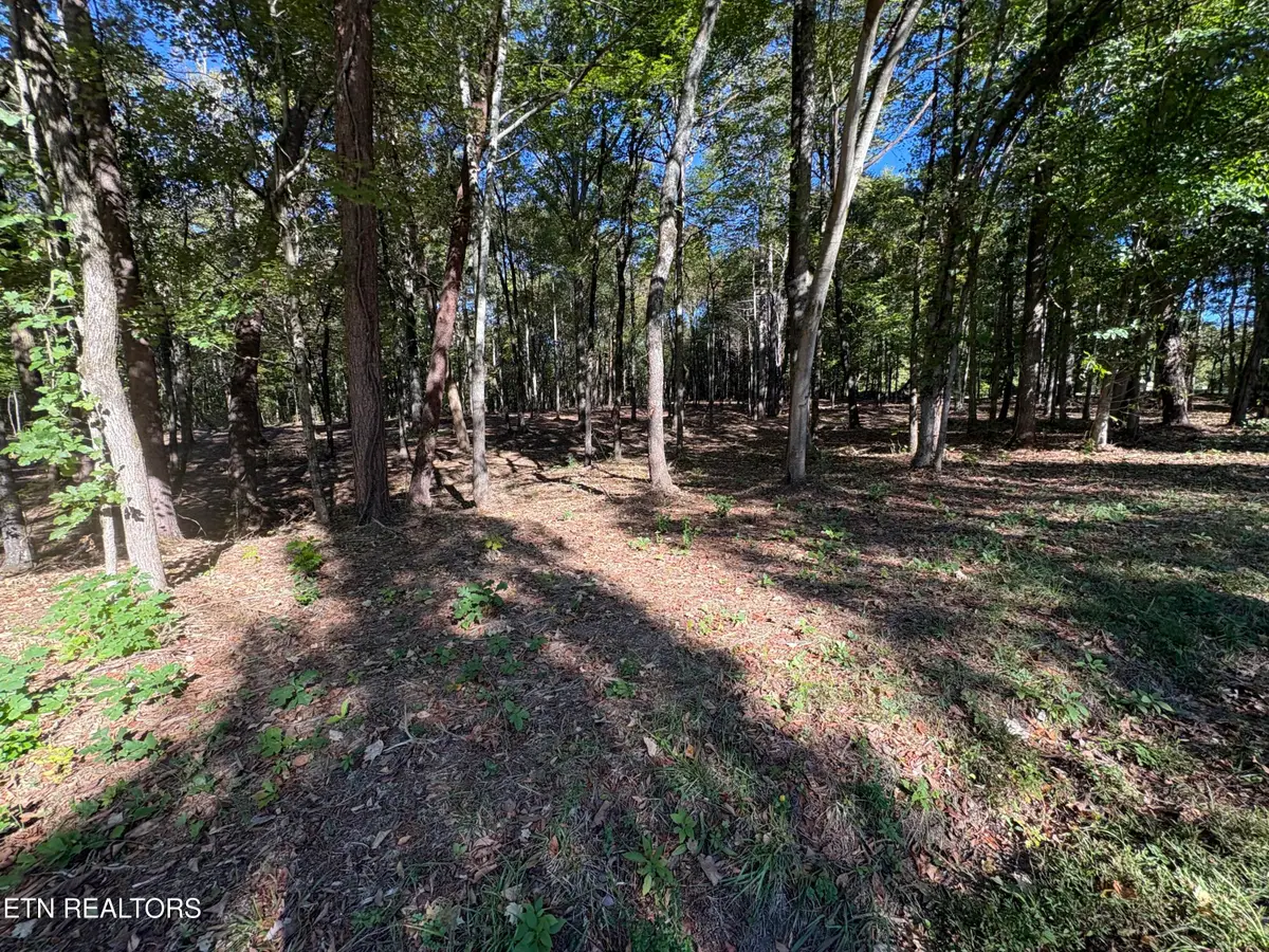 0 Town Creek Rd, Lenoir City, TN 37772 - #1