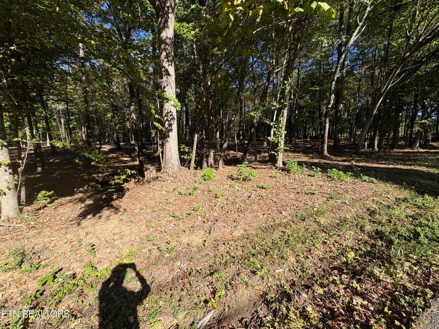 0 Town Creek Rd, Lenoir City, TN 37772 - #2