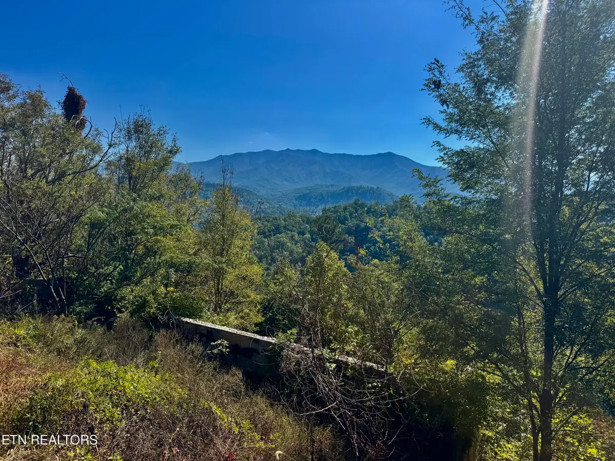 908 E End Court, Gatlinburg, TN 37738 - #1