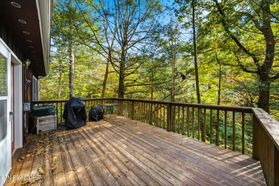 204 Stott Lane, Gatlinburg, TN 37738 - #2