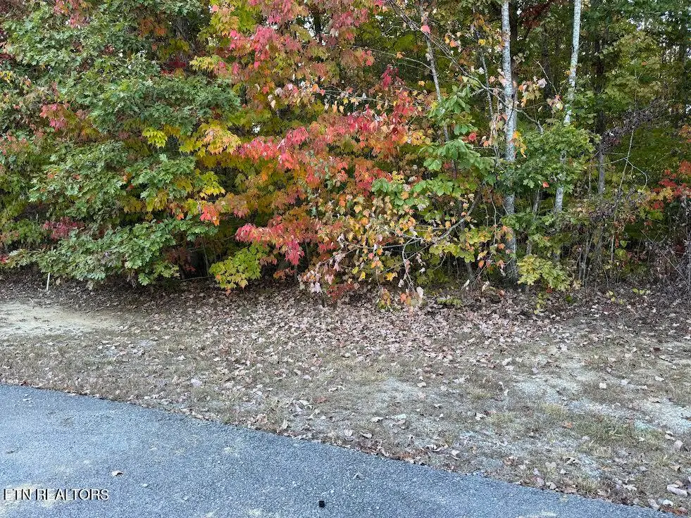 0 Laurens Lane, Grimsley, TN 38565 - #1
