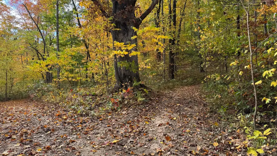 #2