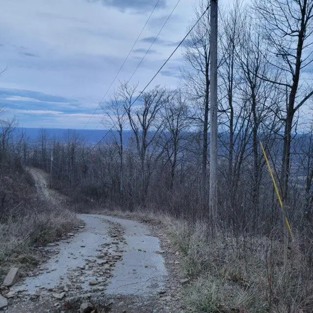 0 Little Bedford Road, Spring City, TN 37381 - Image #2