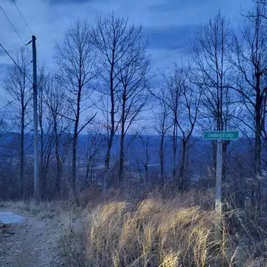 0 Little Bedford Road, Spring City, TN 37381 - Image #3