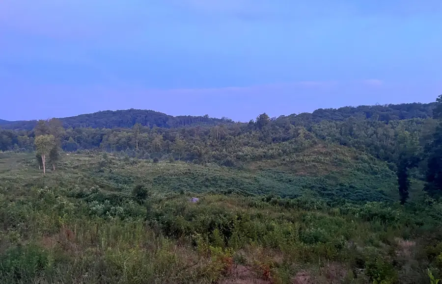 169 County Road 188, Decatur, TN 37322 - Image #2