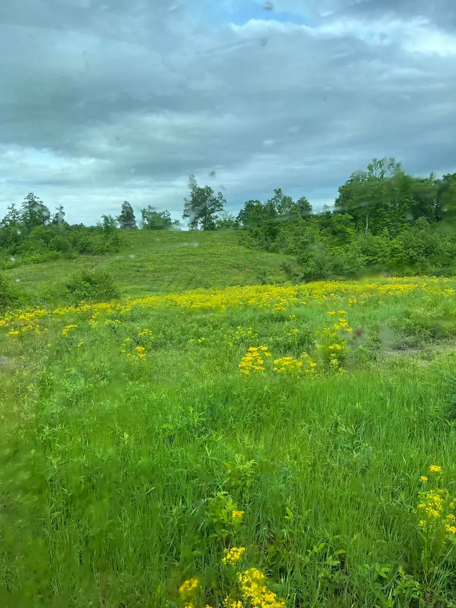 169 County Road 188, Decatur, TN 37322 - Image #3