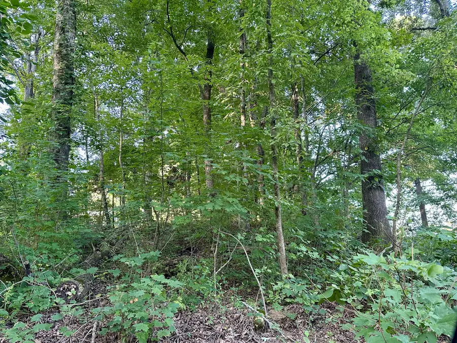 #3