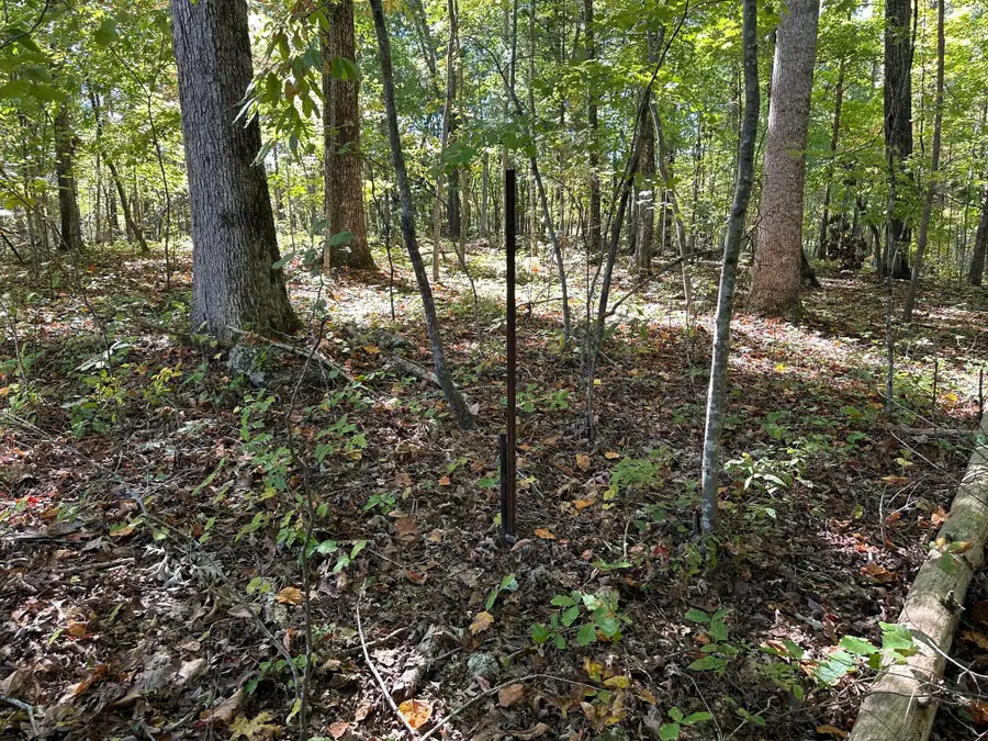 #3