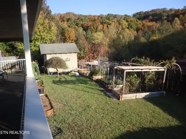 #3