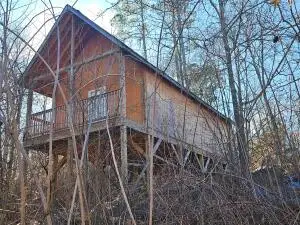 125 Kittiwake Place Nw, Georgetown, TN 37336