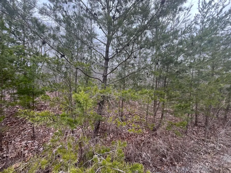 0 Maple Drive, Pikeville, TN 37367 - Image #2