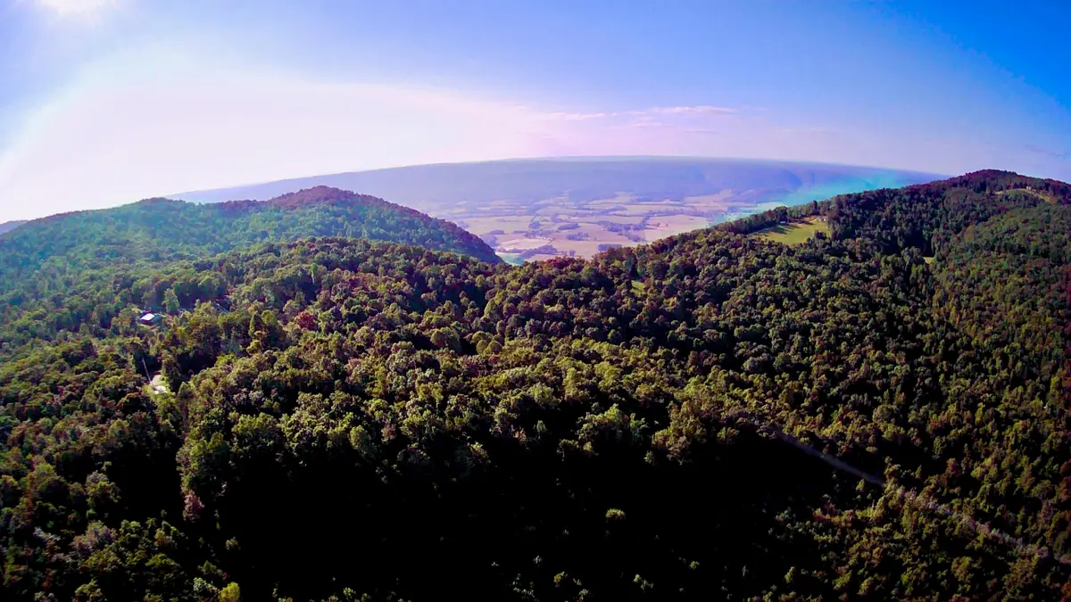 1867 Big Ridge Road, Spring City, TN 37381 - Image #1