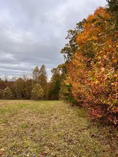 1867 Big Ridge Road, Spring City, TN 37381 - Image #3