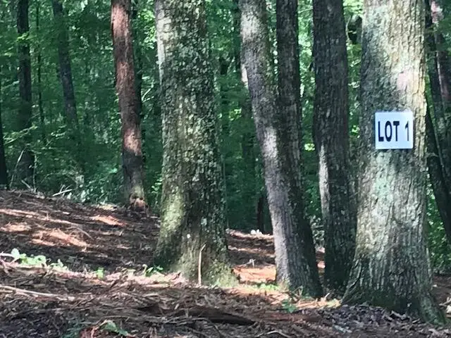 #1