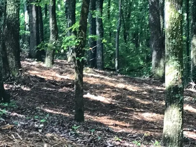 #3