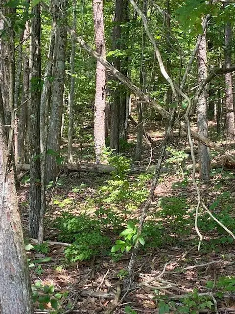 #3