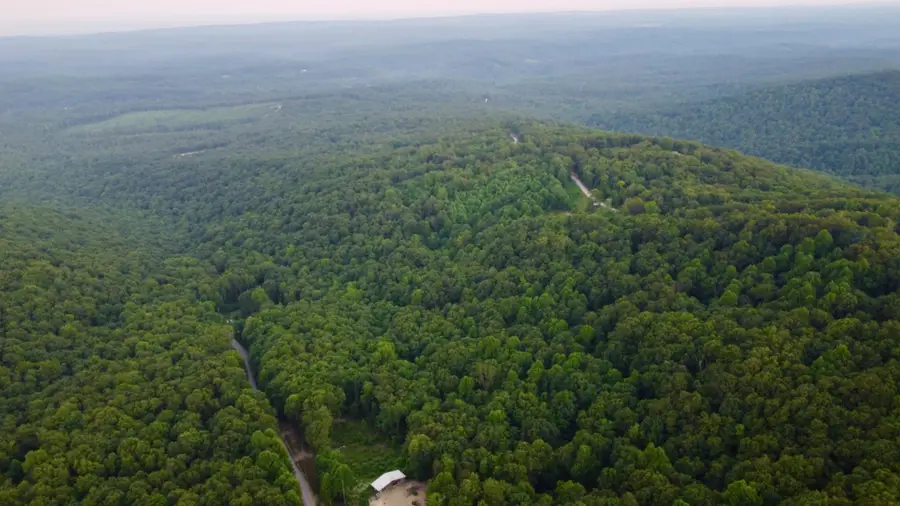 5.21 Acres Browns Holler Road, Spring City, TN 37381 - Image #2