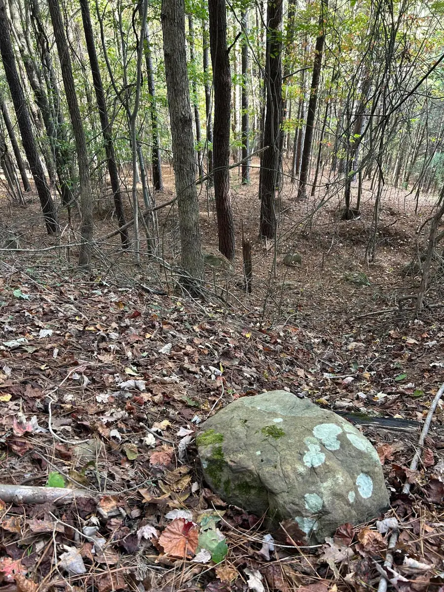 000 Lone Mountain Road, Graysville, TN 37338 - Image #2