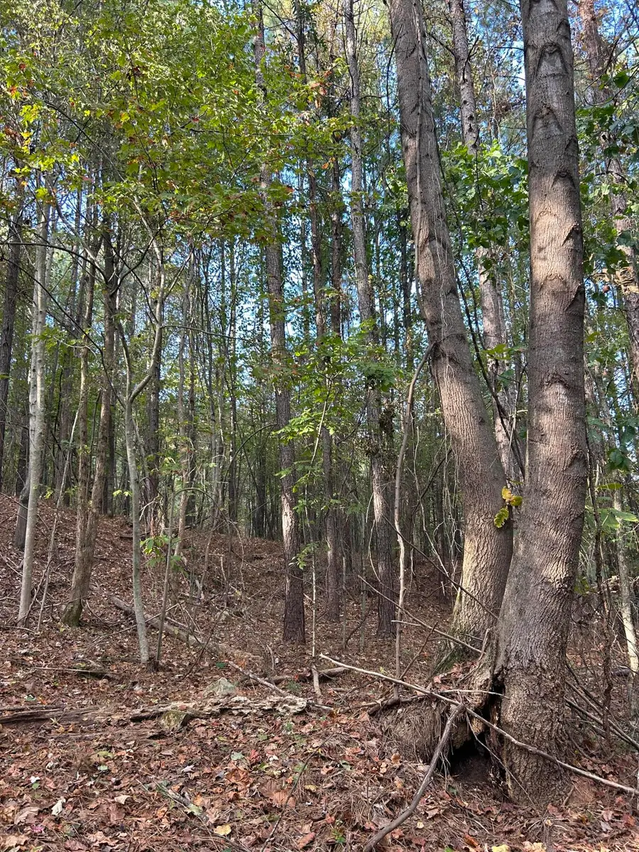 000 Lone Mountain Road, Graysville, TN 37338 - Image #3